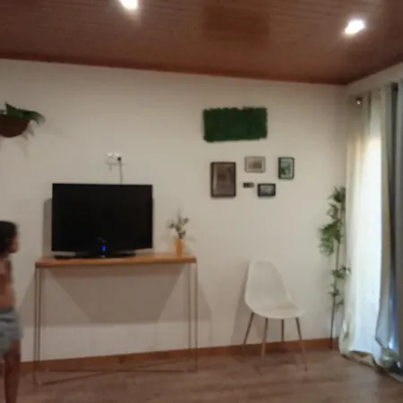 Passadicos Do Paiva E Ponte Suspensa